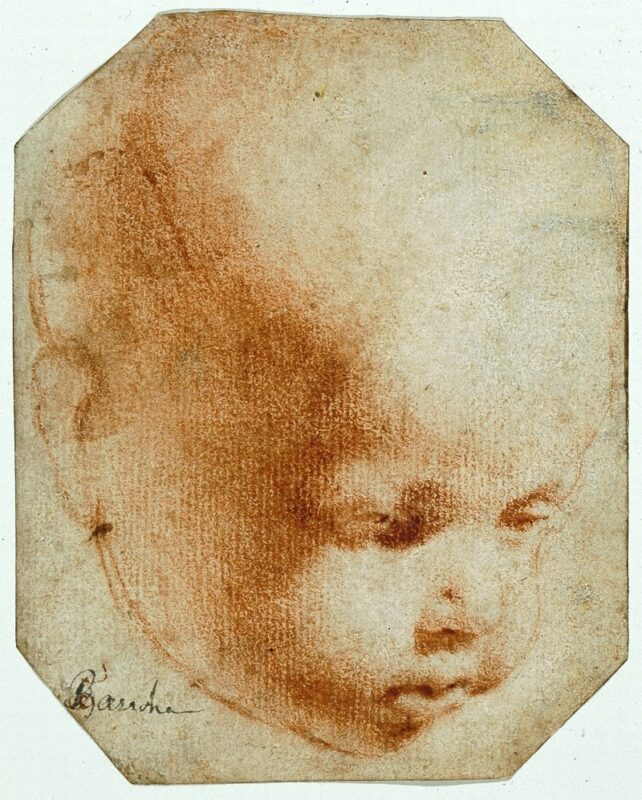 Da Vinci's DNA 