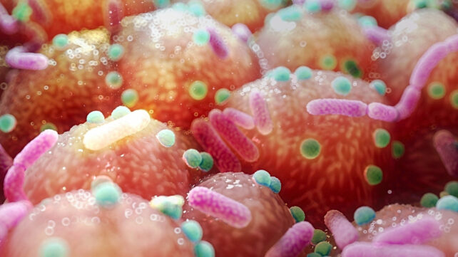 Artist's impression of microbes on the gut lining.