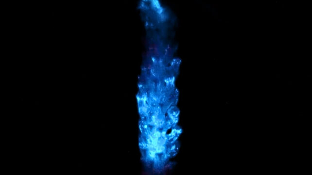 A bioluminescent coral is glowing blue in darkness