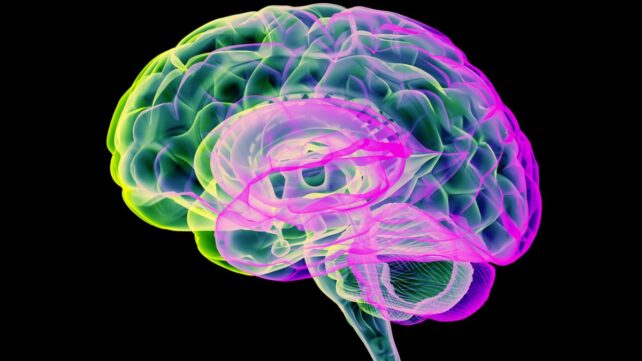 Carbon Dioxide 'Pulses' Clear Toxins From Parkinson's Brains in Recent Study