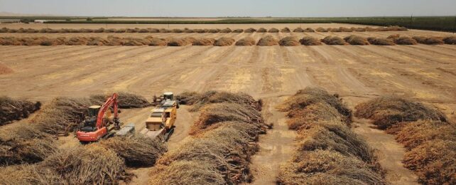 Earth's Continents Are Drying Out at Unprecedented Rate, Satellite Data Reveal