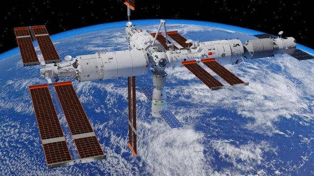 A Mouse Just Gave Birth After Going to Space. Here's Why That's a Big Deal.