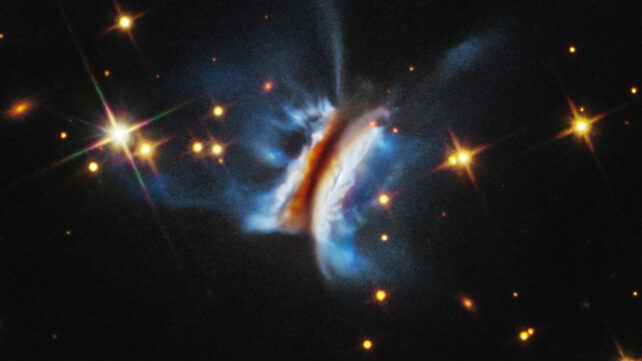 Draculas Chivito system