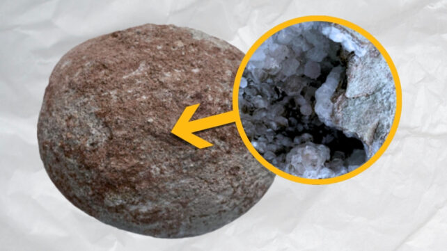 This 70-Million-Year-Old Dinosaur Egg Contained a Sparkling Crystal Surprise