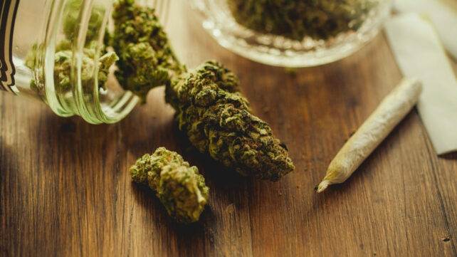 cannabis