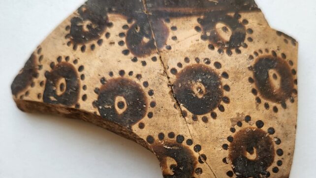 Oldest Known Botanical Art Reveals Early Mathematical Thinking