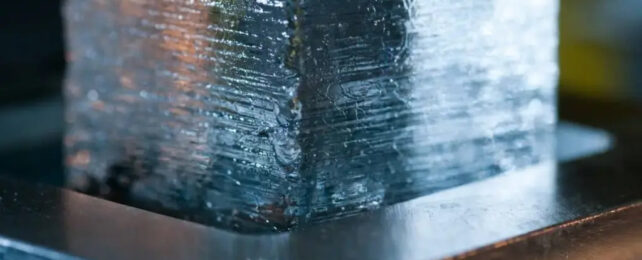 Ice core segment