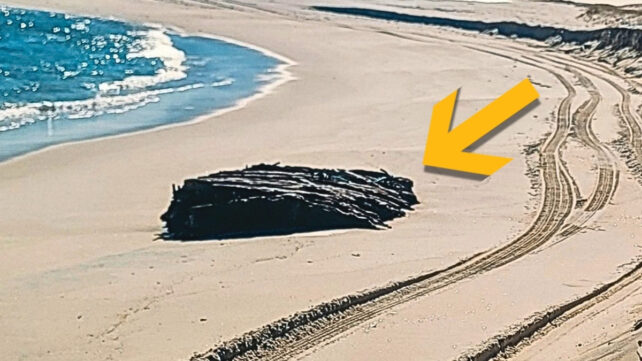 A yellow arrow at the right of image is pointing to a shipwreck in the center, on a sandy beach