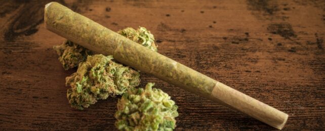 Cannabis and Joint On Wooden Surface