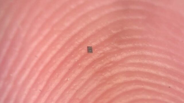 The World's Smallest Programmable Robot Can Barely Be Seen