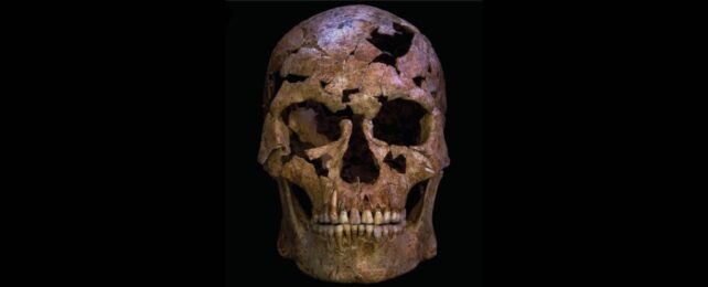 12,000-Year-Old Bones Could Be One of The Earliest Known Murder Victims