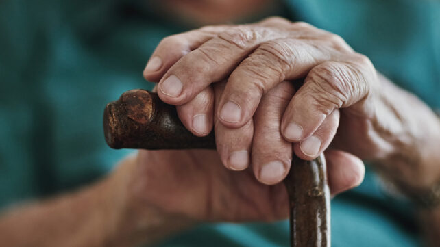 Old hands on a walking stick