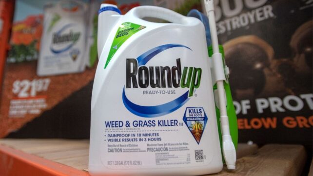 a small bottle of roundup for home garden use