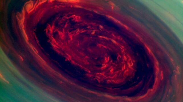Polar Storms on Jupiter And Saturn Reveal Deep Atmospheric Differences