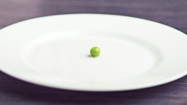 One pea on a large white plate