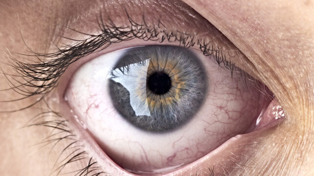 Close up of a human eye