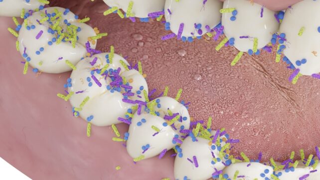 The Secret To Preventing Tooth Decay May Already Be In Your Mouth