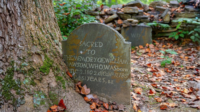 Scientists Analyzed The Obituaries of 38 Million Americans. Here's What They Found.