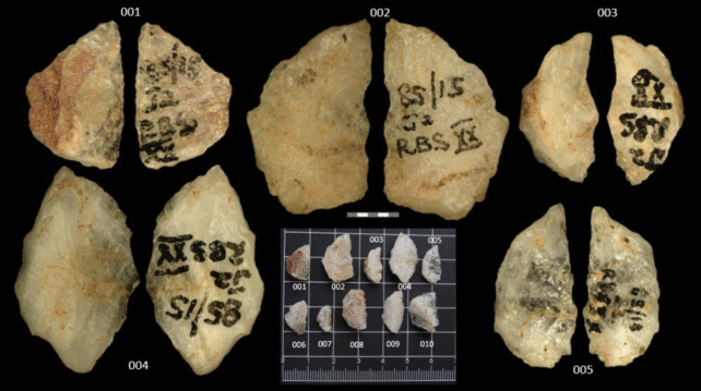 Arrowheads Poison