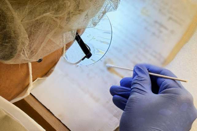 Da Vinci's DNA Extraction